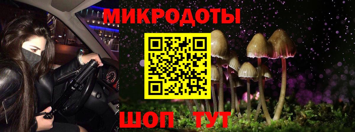 Псилоцибиновые грибы Psilocybine cubensis Алушта
